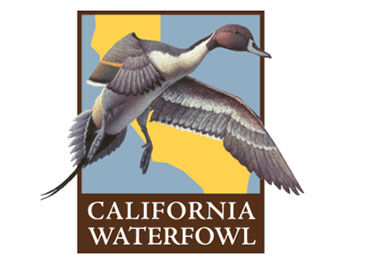 California Waterfowl logo California Waterfowl logo