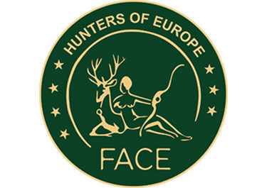 FACE logo